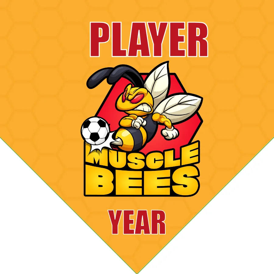 Muscle Bees Soccer Banner-soccer-banner-ideas-picture