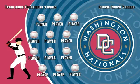 Nationals 2 Baseball Banner-baseball-themed-banner-images