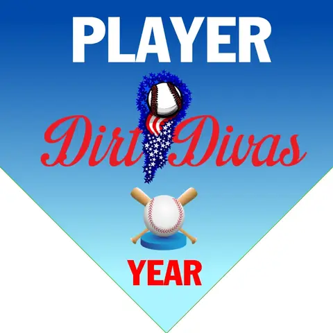 Dirt Divas 1 Softball Banner-softball-banner-pictures-images