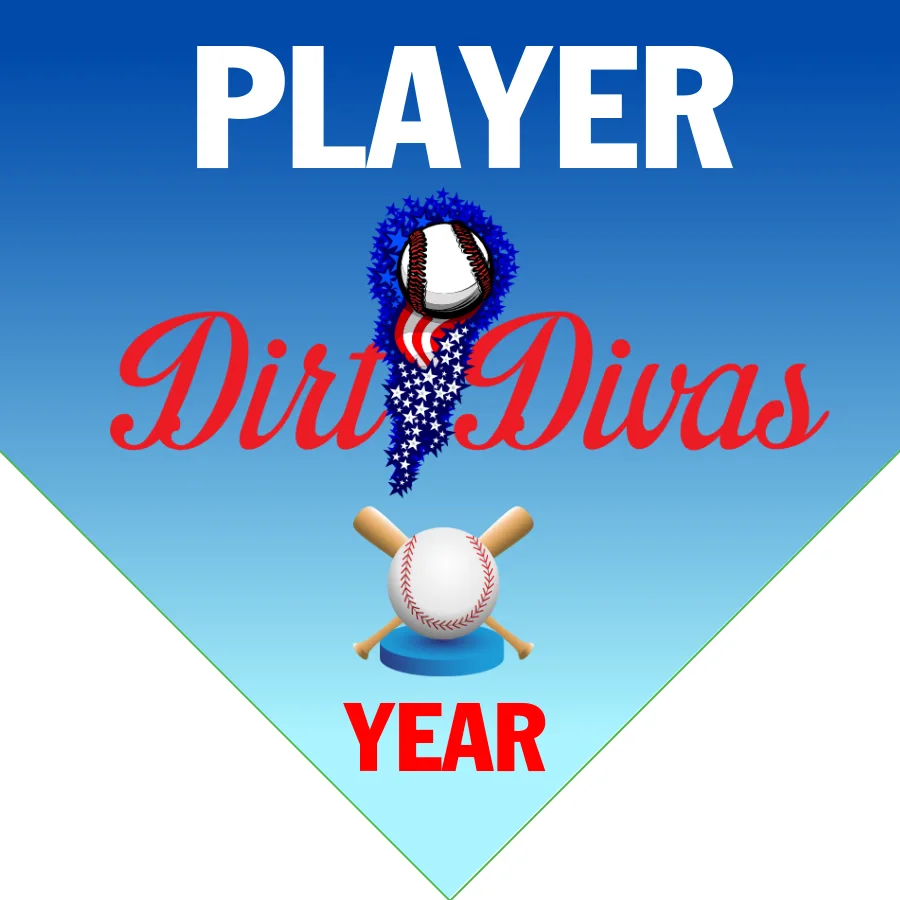 Dirt Divas 1 Softball Banner-softball-banner-pictures-images