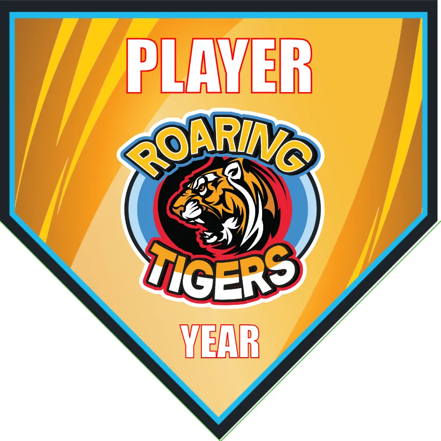 Roaring Tigers Banner-soccer-team-banner-picture