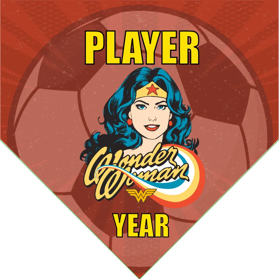 Wonder Women 3 Soccer Banner-soccer-banners-and-flags-picture