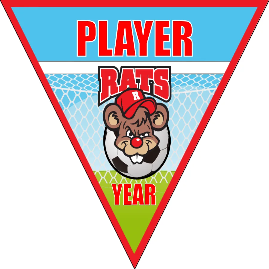 Rats Soccer Banner-soccer-banner-stand-pvc-picture