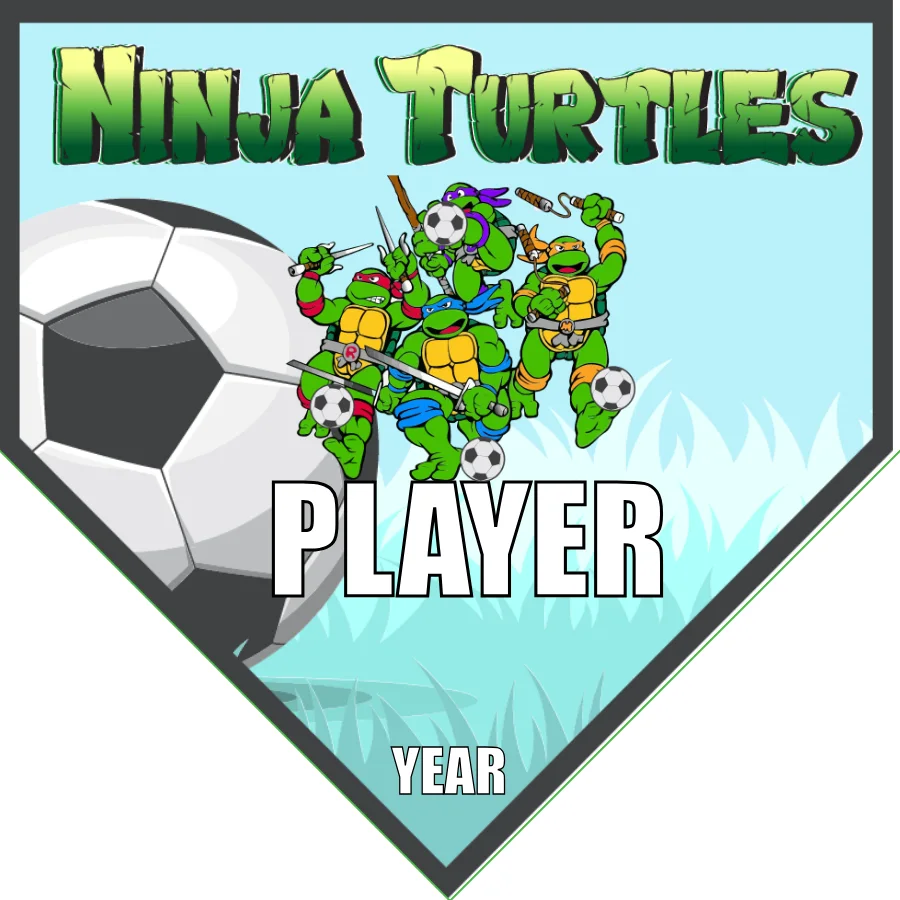 Ninja Turtles Soccer Banner-soccer-team-banner-picture