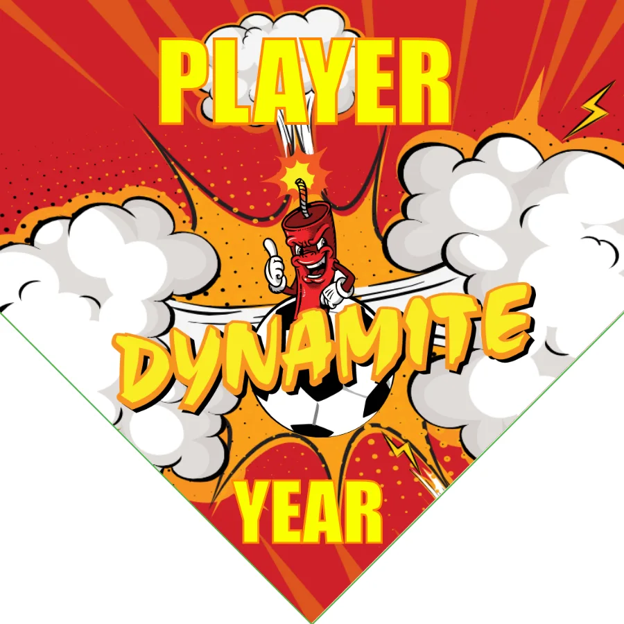 Dynamite 1 Soccer Banner-soccer-team-banners-ayso-picture
