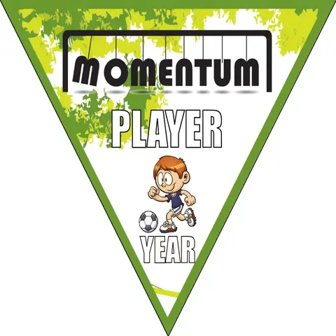 Momentum Soccer Banner-soccer-banner-stand-picture