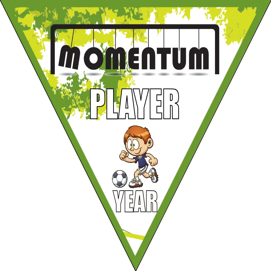 Momentum Soccer Banner-soccer-banner-stand-picture