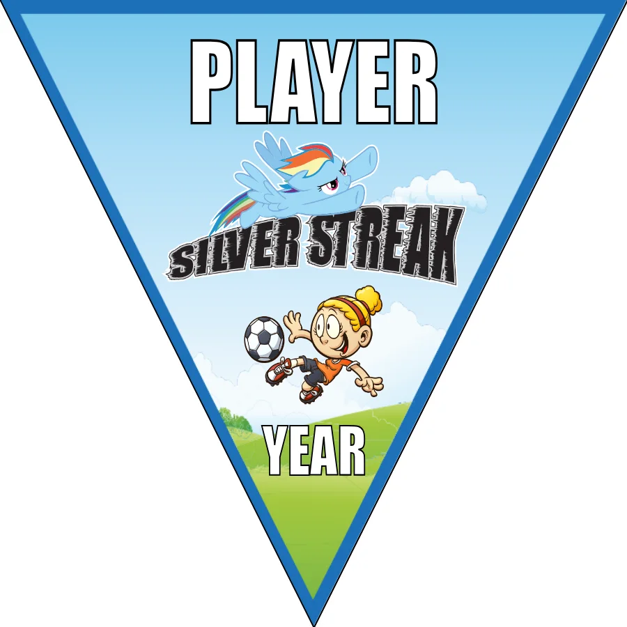 Silver Streak Soccer Banner-soccer-party-banner-picture