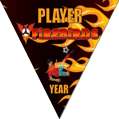 Firebirds Soccer Banner-soccer-banner-pole-kit-picture