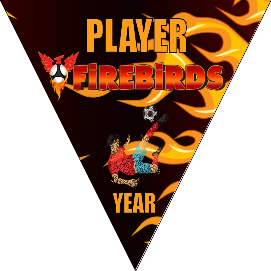Firebirds Soccer Banner-soccer-banner-pole-kit-picture