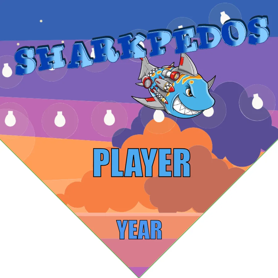 Sharkpedos Soccer Banner-soccer-banners-and-flags-picture