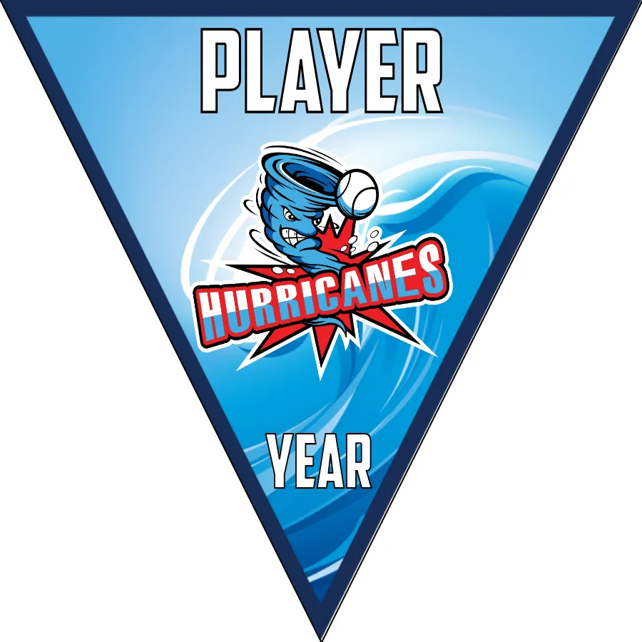 Hurricanes-blue-red-triangle-softball-banners-with-pictures-picture