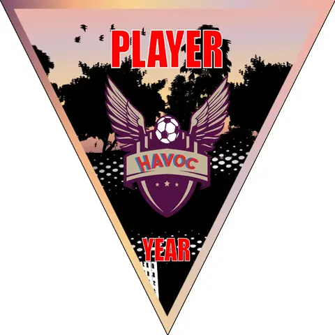 Havoc Soccer Banner-soccer-field-banners-picture