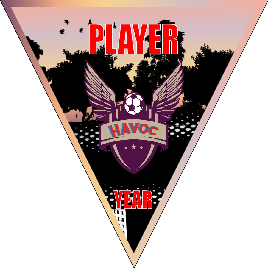 Havoc Soccer Banner-soccer-field-banners-picture