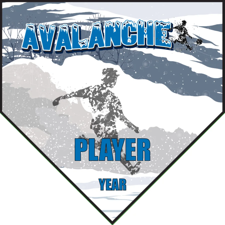 Avalanche 2 Soccer Banner-soccer-banners-bakersfield-ca-picture