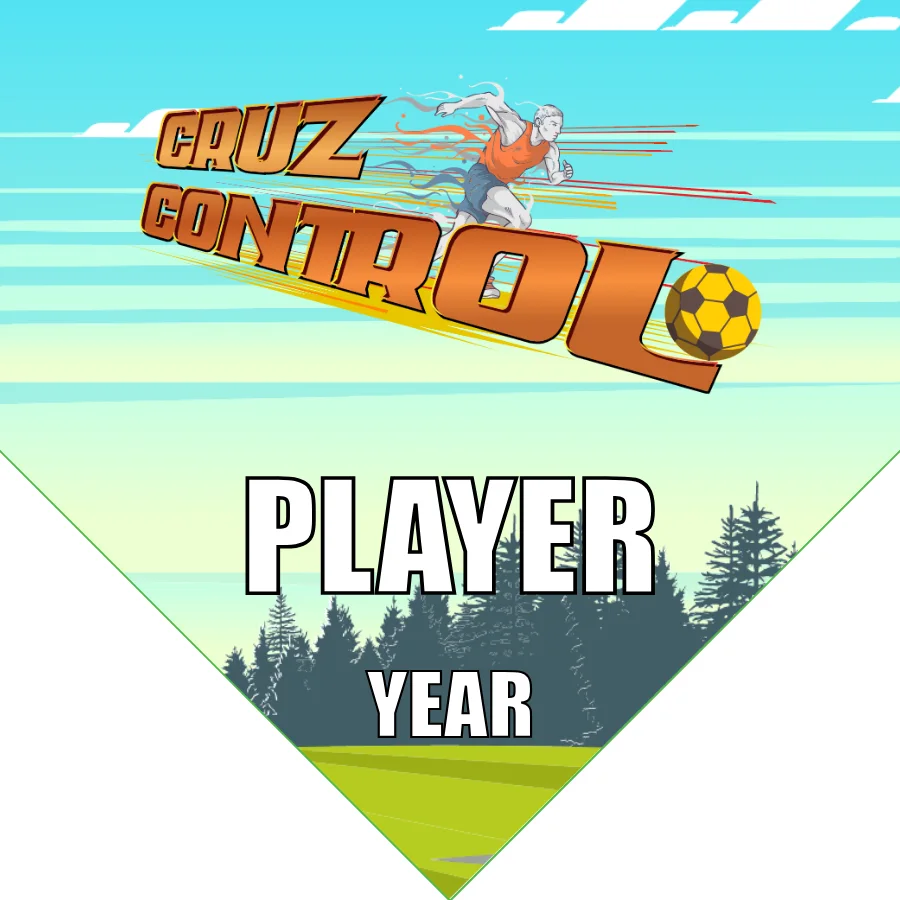 Cruz Control 2 Soccer Banner-netherlands-soccer-banner-picture