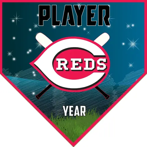 Cincinnati Baseball Banner-baseball-banners-with-photos-images