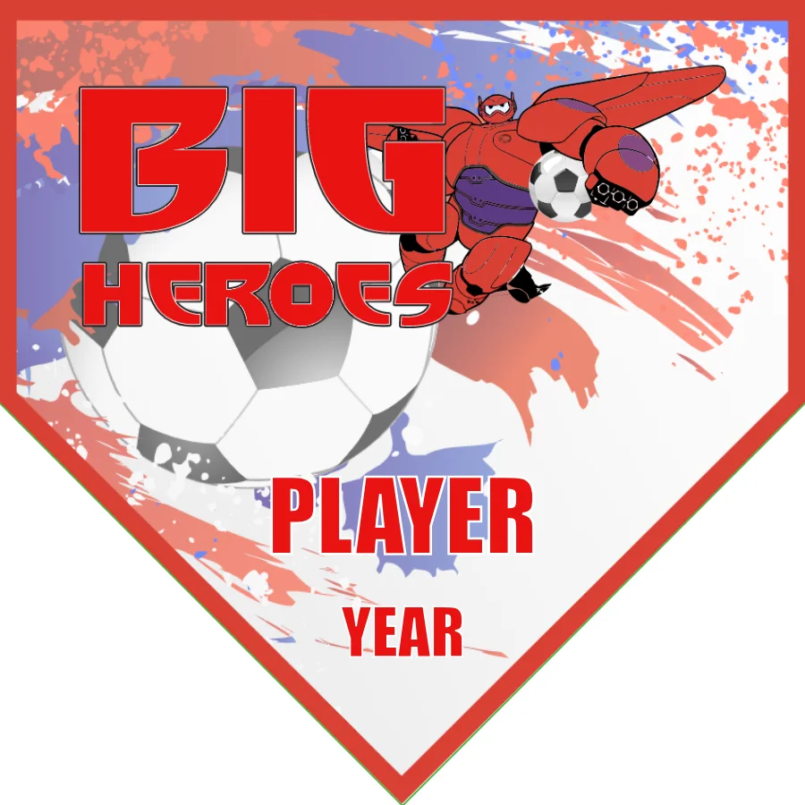 Big Heroes Soccer Banner-size-of-a-soccer-banner-picture