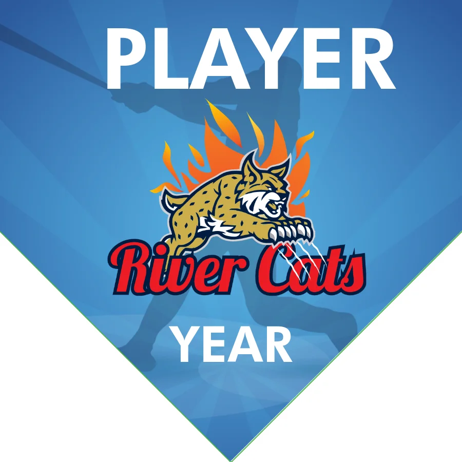 River Cats 2 Softball Banner-homemade-softball-banners-ideas-images