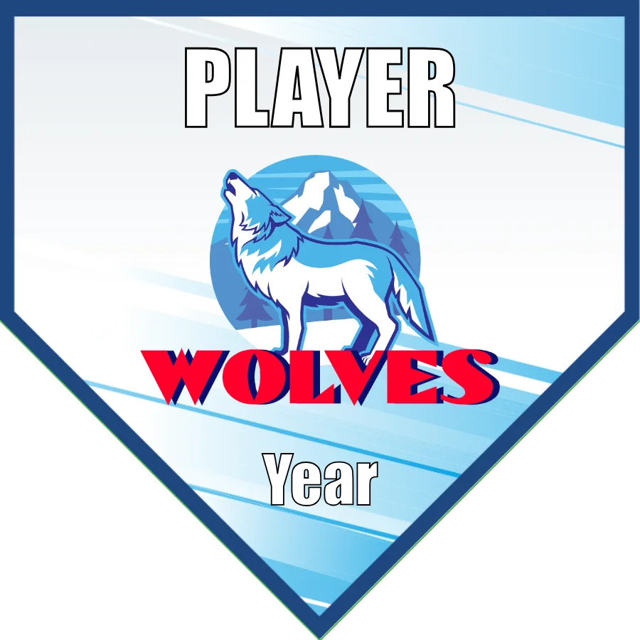 Wolves 3 Soccer Banner-soccer-banners-for-sale-picture
