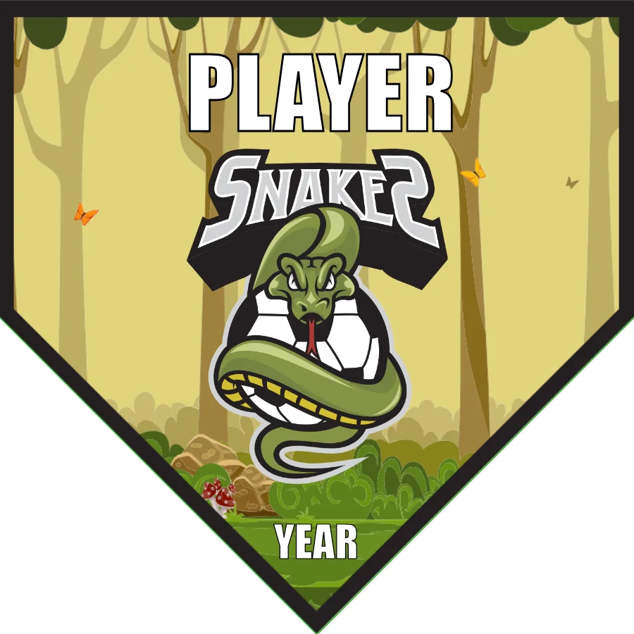 Snakes Soccer Banner-soccer-banner-stand-picture