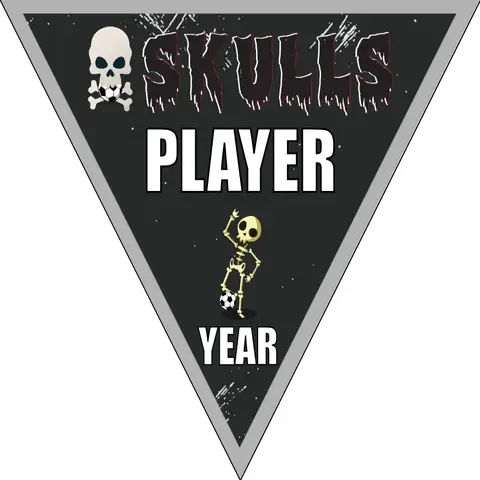 Skulls Soccer Banner-soccer-party-banner-picture