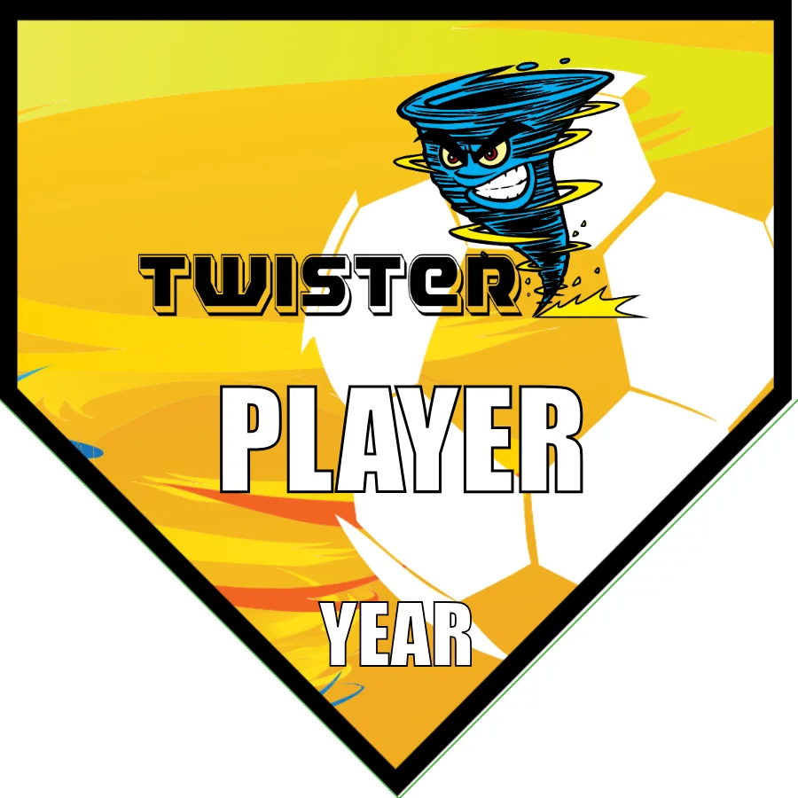 Twister Soccer Banner-soccer-ball-banner-picture