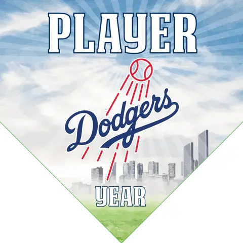 Dodgers 3 Baseball Banner-baseball-banner-printing-images