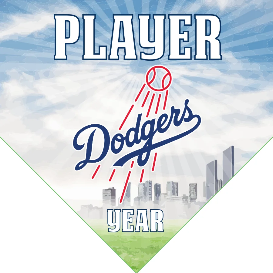 Dodgers 3 Baseball Banner-baseball-banner-printing-images