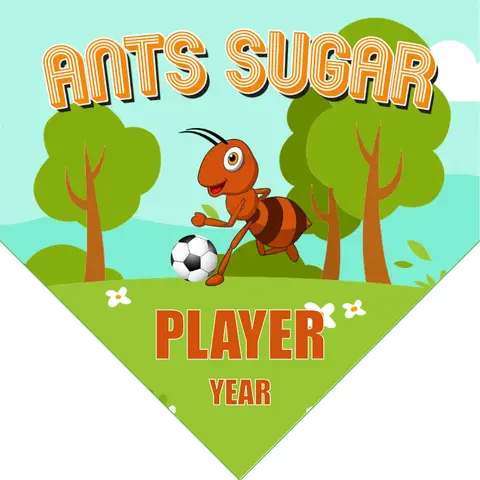 Ants sugar Soccer Banner-soccer-team-banner-ideas-picture