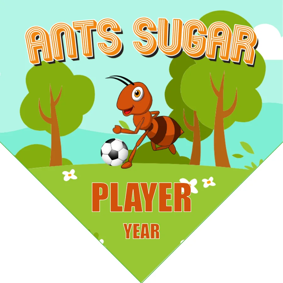 Ants sugar Soccer Banner-soccer-team-banner-ideas-picture