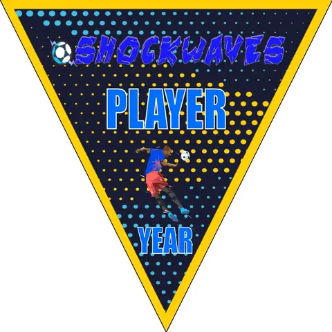 Shockwaves Soccer Banner-soccer-ball-banner-picture