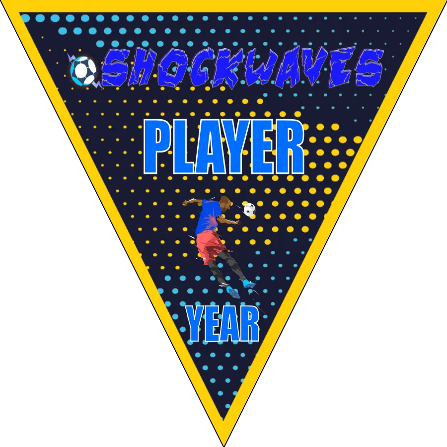Shockwaves Soccer Banner-soccer-ball-banner-picture