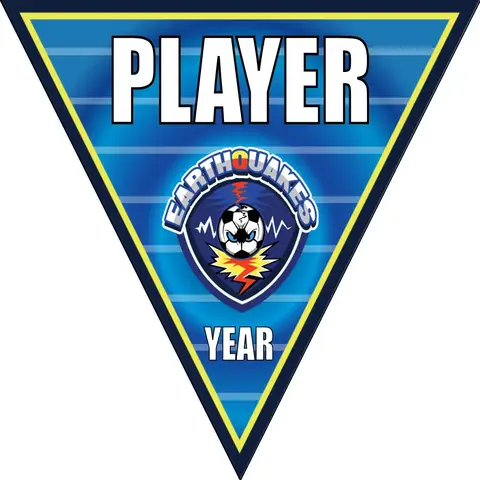 Earthquakes 1 Soccer Banner-soccer-banner-pvc-picture