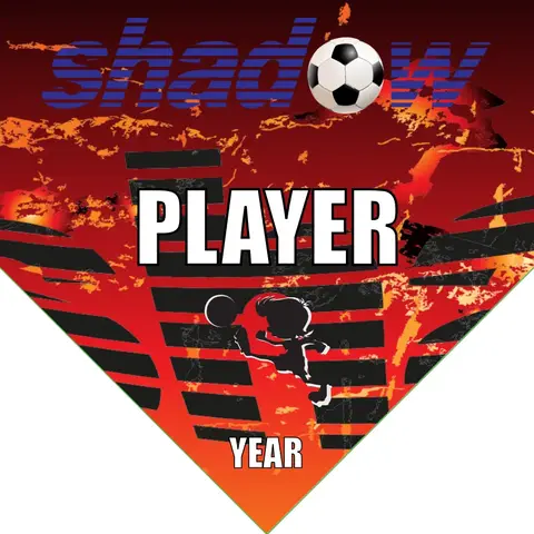 Shadow Soccer Banner-soccer-team-banners-picture