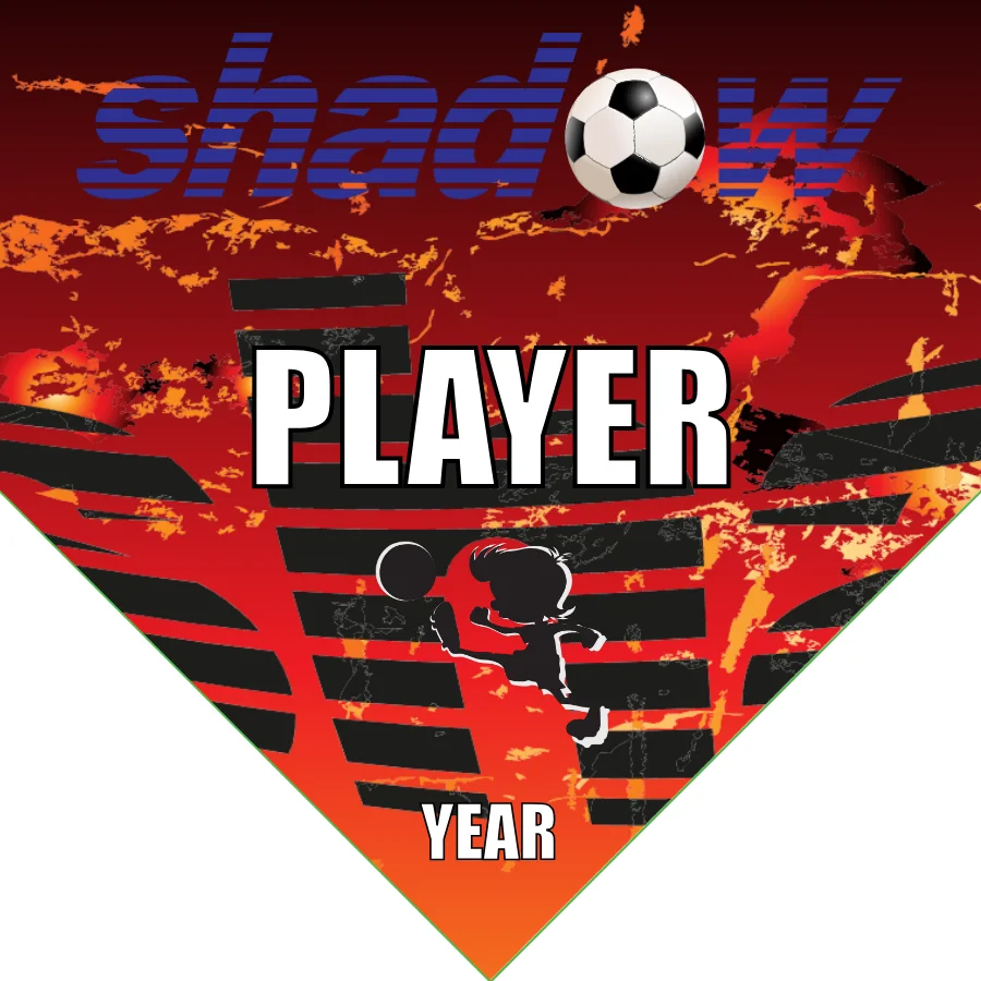 Shadow Soccer Banner-soccer-team-banners-picture