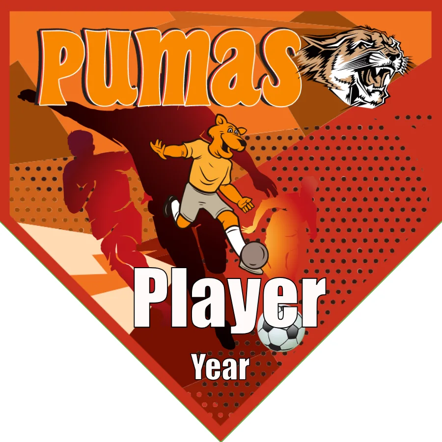 Pumas 2 Soccer Banner-soccer-team-banner-ideas-picture