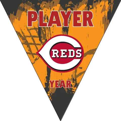 Cincinnati Reds Baseball Banner-baseball-banners-homemade-images