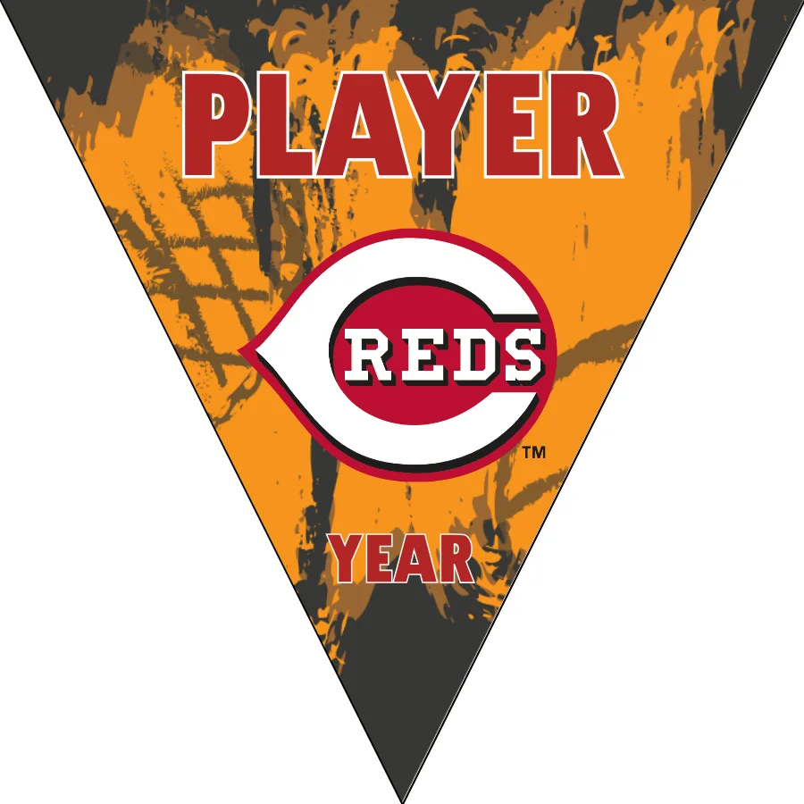 Cincinnati Reds Baseball Banner-baseball-banners-homemade-images