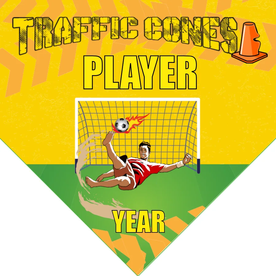 Traffic Cones Soccer Banner-soccer-banner-stand-pvc-picture