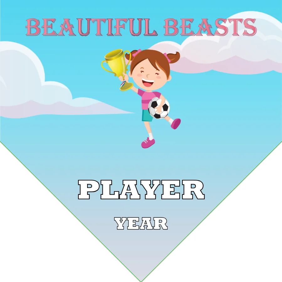 Beautiful Beasts 3 Soccer Banner-ayso-soccer-banner-requirements-picture