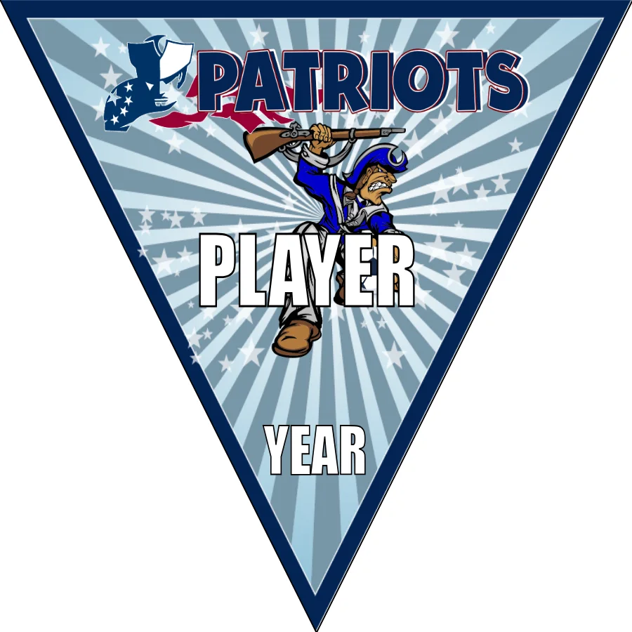 Patriots 2 Soccer Banner-soccer-banners-sacramento-picture