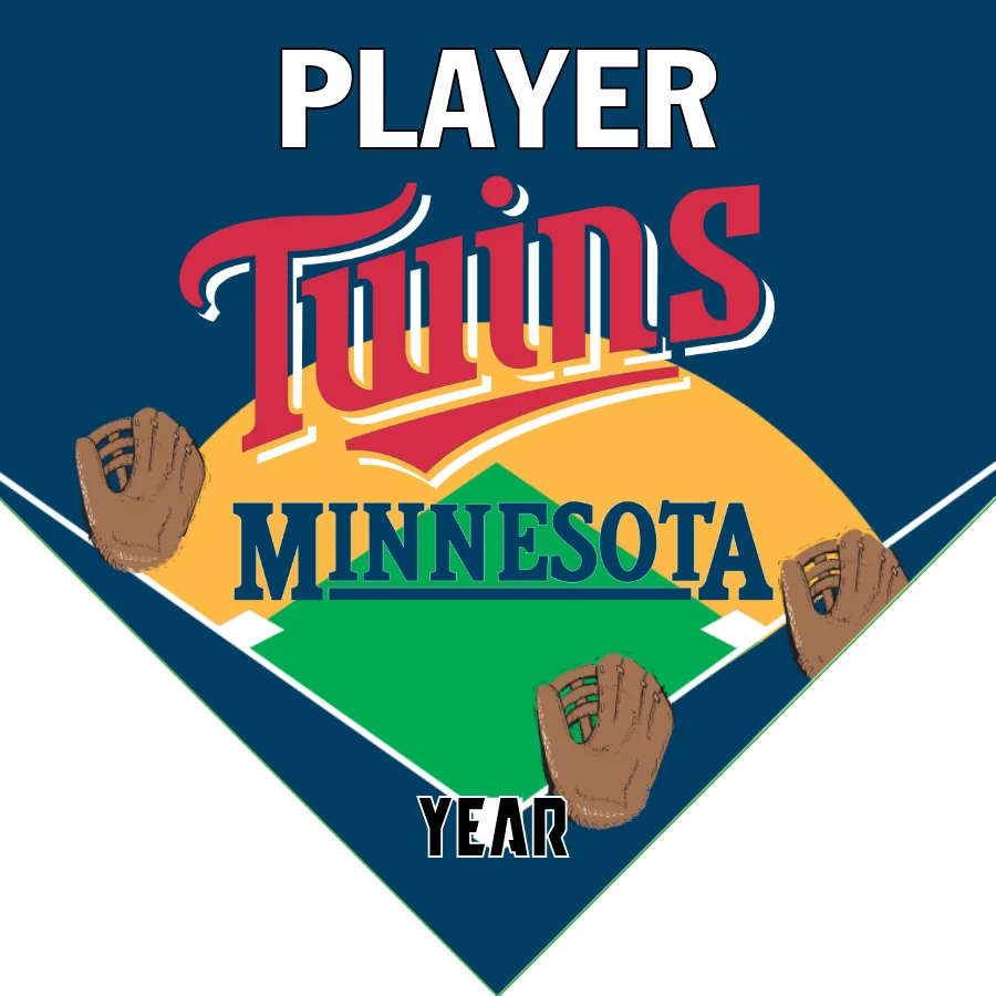 Twins 3 Baseball Banner-baseball-banner-slogans-images