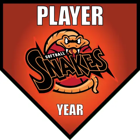 snakes 2-red-yellow-home-softball-team-banners-picture