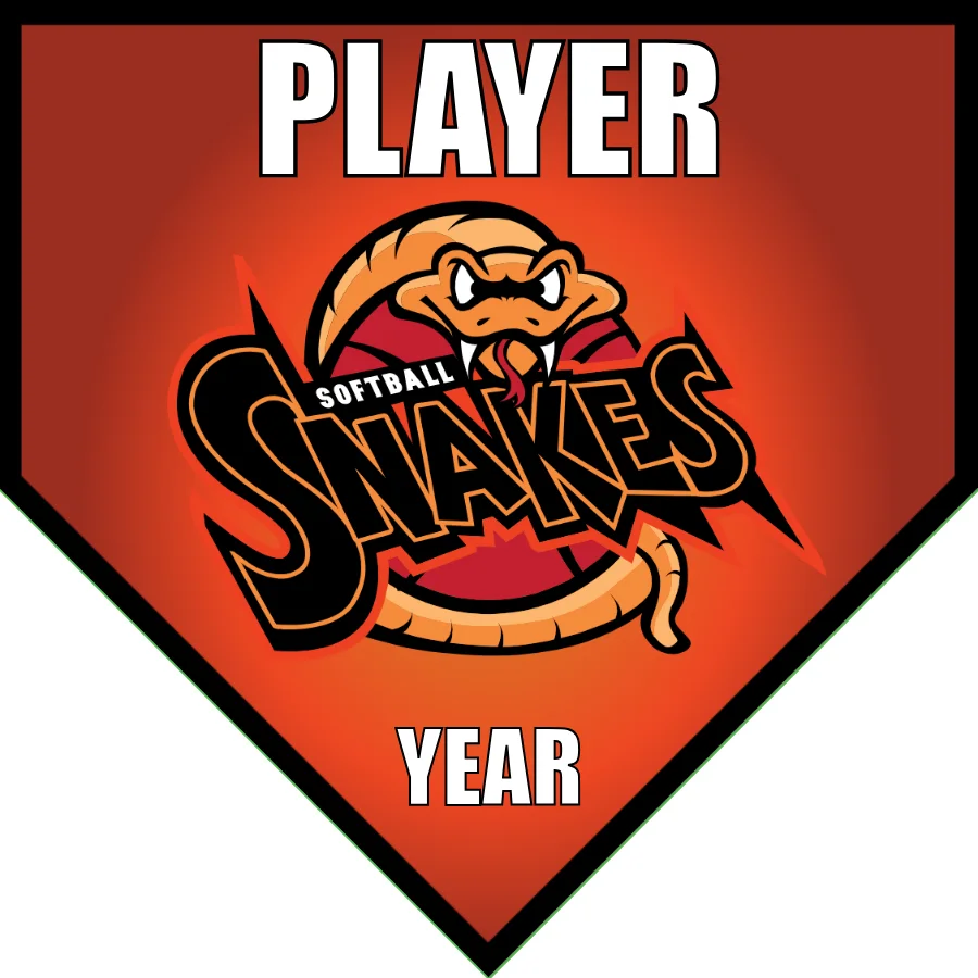 snakes 2-red-yellow-home-softball-team-banners-picture