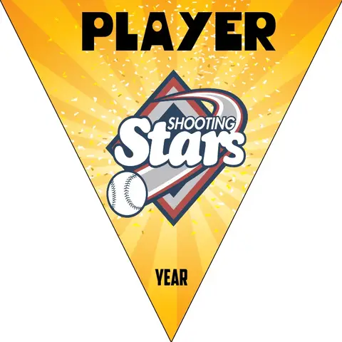 Shootingstar Softball Banner-softball-championship-banner-picture