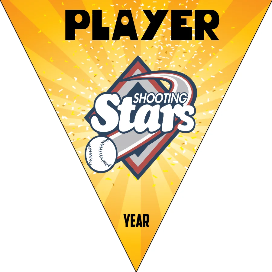Shootingstar Softball Banner-softball-championship-banner-picture