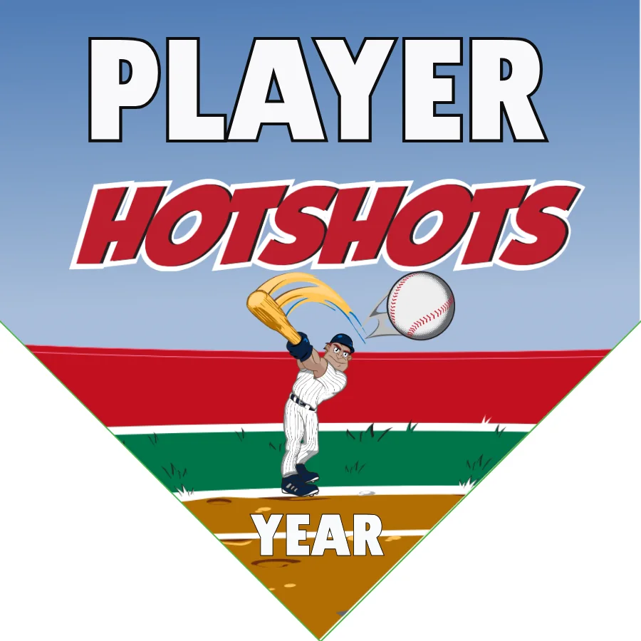 Hotshots Baseball Banner-baseball-opening-day-banners-images