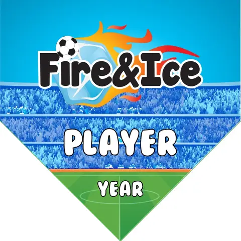 FireIce Soccer Banner-soccer-banners-costa-mesa-picture