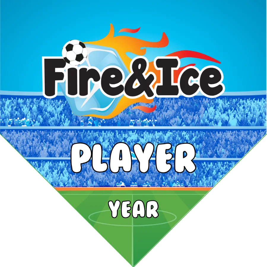 FireIce Soccer Banner-soccer-banners-costa-mesa-picture